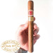 Charuto Romeo y Julieta Churchills Minas Gerais
